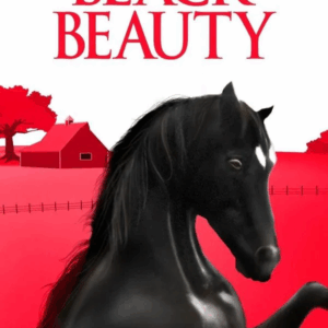 Black beauty 
