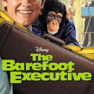The Barefoot executive