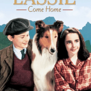 Lassie på äventyr