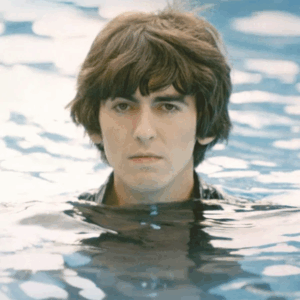 Georg Harrison - living in the material world