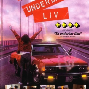 Ha ett underbart liv