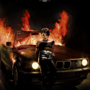 Flickan som lekte med elden