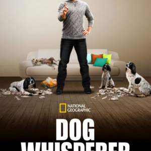 Mannen som talar med hundar säsong 3