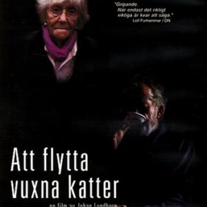 Att flytta vuxna katter