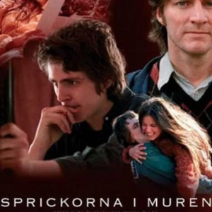 Sprickorna i muren