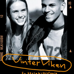 Vinterviken