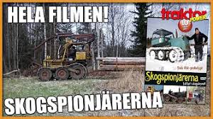 Skogspionjärerna
