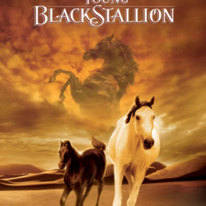 Der Schwarze Hengst (Young black stallion)
