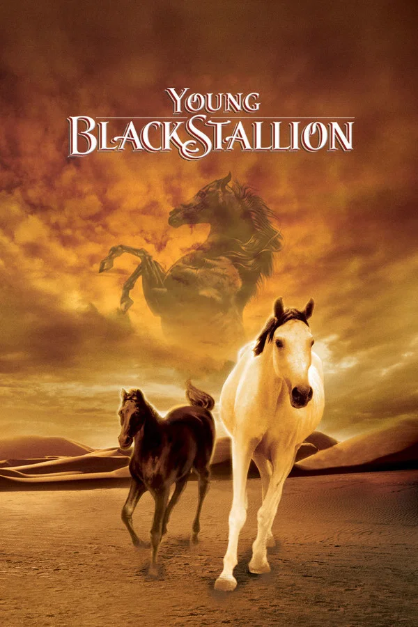 Der Schwarze Hengst (Young black stallion)