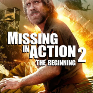 missing in action 2