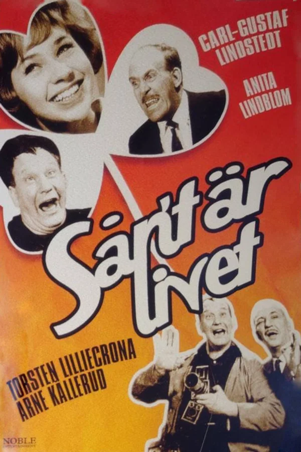 Sånt är livet (Vi fixar allt)