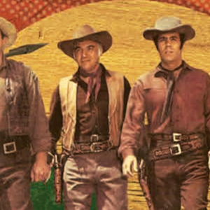 Bonanza 8 disc