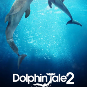 Dolphin tale 2